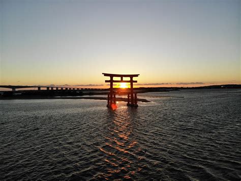 浜松観光スポット: なぜかカエルが人気の秘密